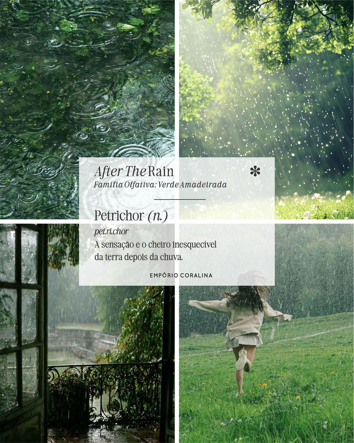 Vela aromática com cheiro de chuva, vela com cheiro de terra molhada, petrichor, cenas que passam a sensação do cheiro inesquecível de terra depois da chuva, aroma After The Rain do Empório Coralina