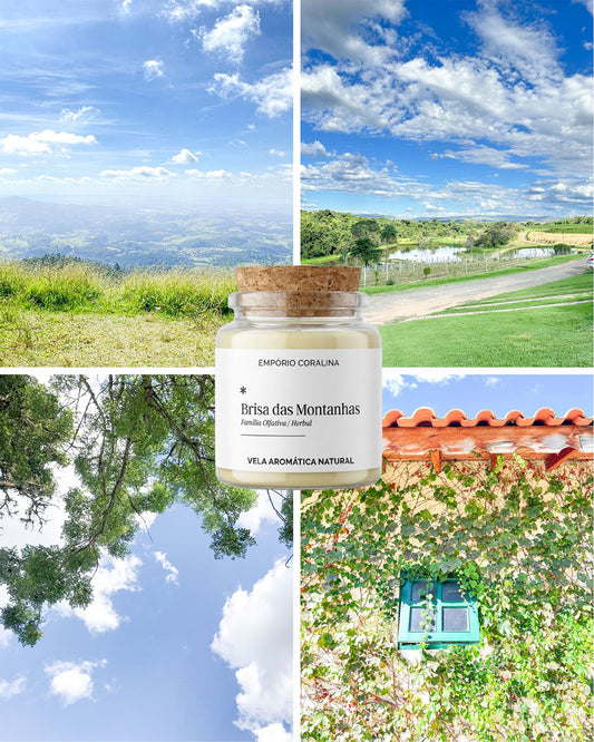 Vela Aromática Cora • Brisa das Montanhas • Notas Verdes