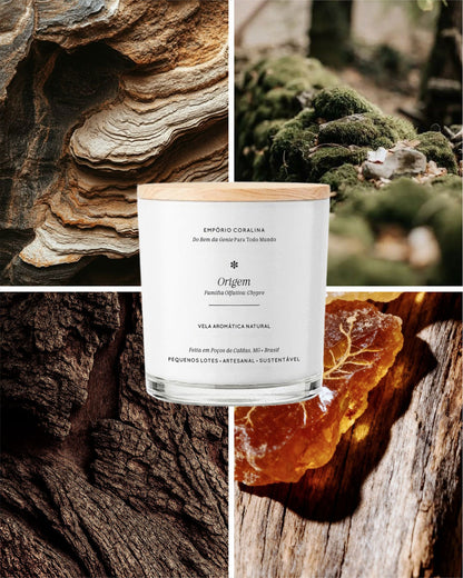 Vela Aromática Bossa • Origem • Chypre Verde & Terroso