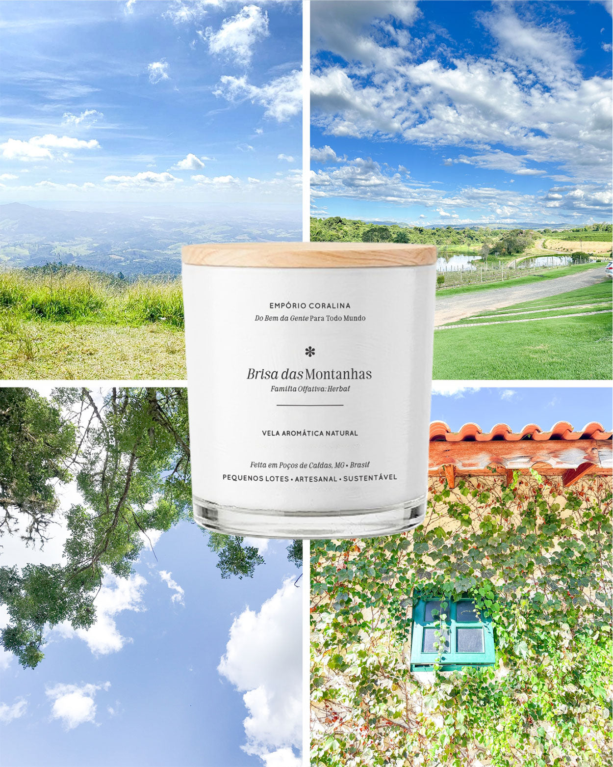 Vela Aromática Bossa • Brisa das Montanhas • Notas Verdes