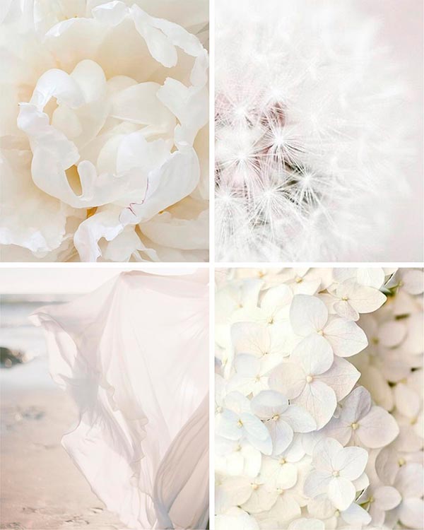 Peônias e Gardênias em flor - Fragrância Bloom Empório Coralina