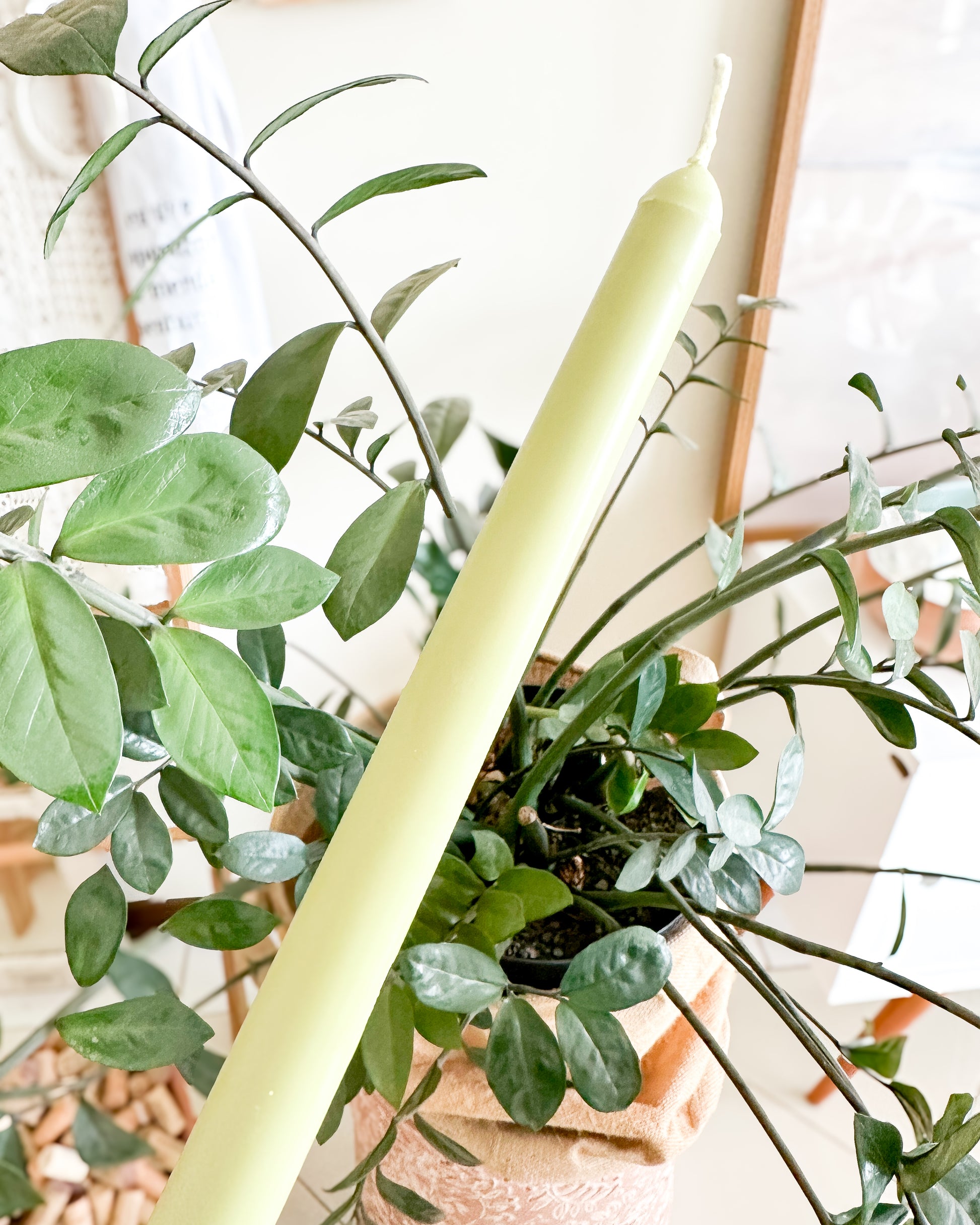 Velas para castiçal. Velas para castiçal coloridas. Velas para mesa posta. Velas para castiçal design atemporal. Taper candles. Velas verde sálvia, verde oliva. Velas com cera vegetal.